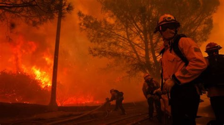 Exploring The Impact Of "JustFired" In California: A Deep Dive